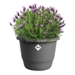 amiga rond 47cm antraciet